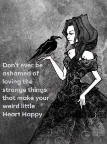 FB_IMG_1693726088903