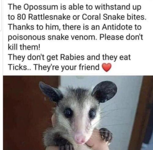 Screenshot_20230922-182314_MeWe