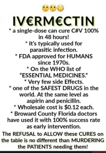 377551687_261123253472782_498244781829119940_n