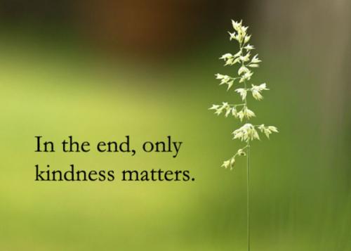 1A-Kindness Matters