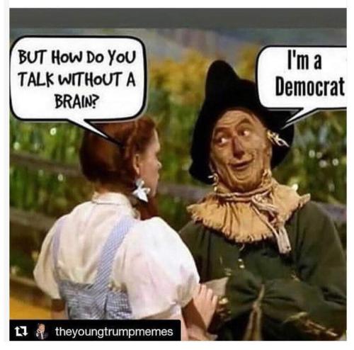 FB_IMG_1695606991525