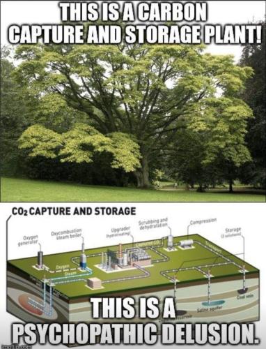 IMG_20230908_195319_960