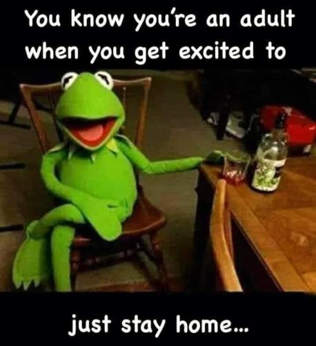 FB_IMG_1695134485993