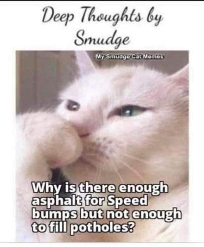 FB_IMG_1694558180334