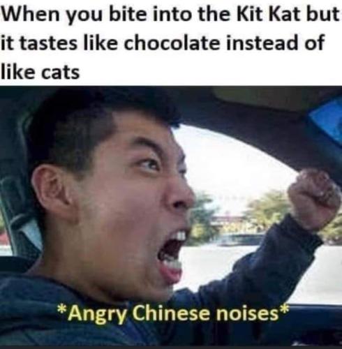 FB_IMG_1695412483728