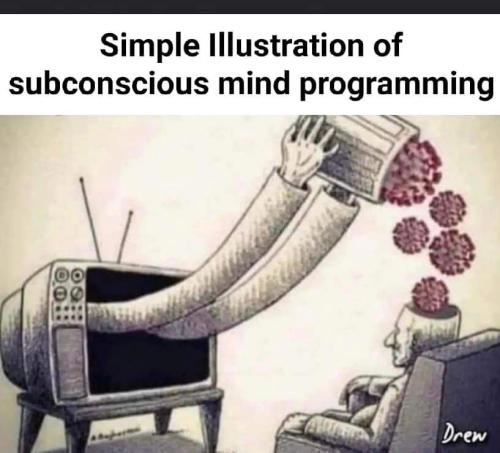 FB_IMG_1694572294887