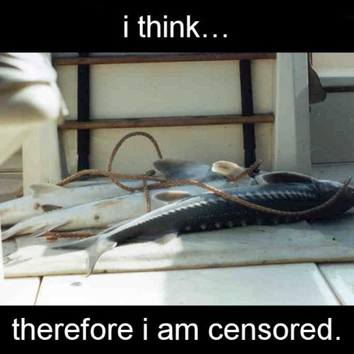 i think therefore i am censored
