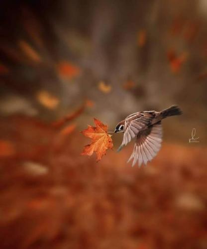 FB_IMG_1695025558424