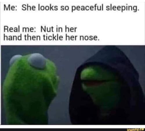 FB_IMG_1694847184455