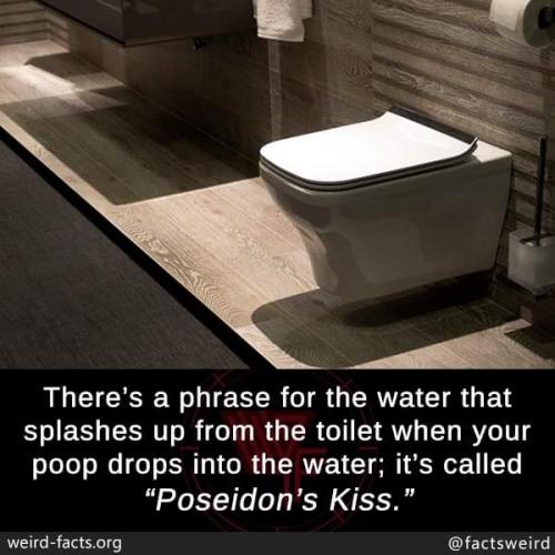 FB_IMG_1694686951041