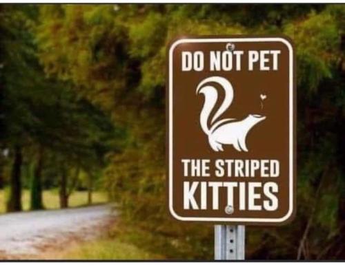 370352511_7173711325992450_6487661612949361290_n