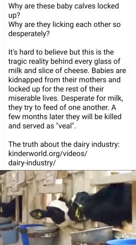 14:55:35 GMT-0400 (EDT)