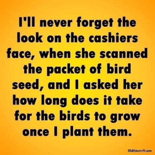 FB_IMG_1695918059485