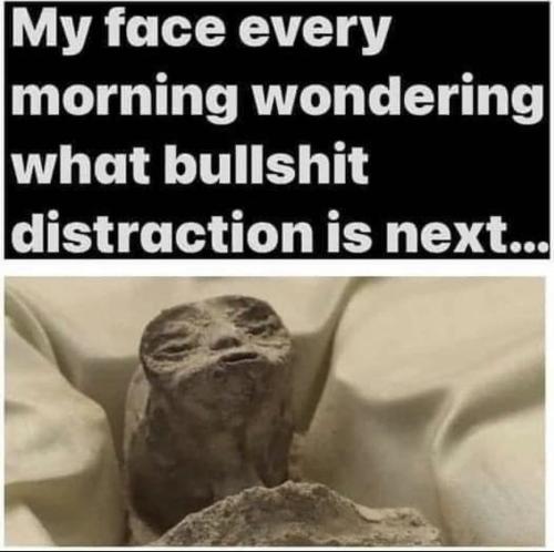 photo_2023-09-26_09-56-05