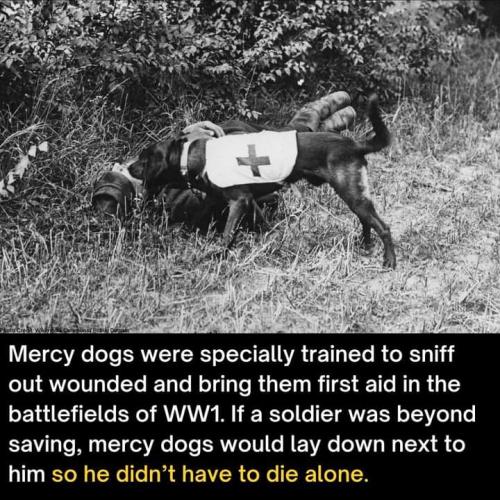 FB_IMG_1695565793778
