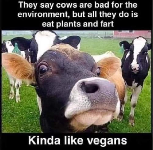 FB_IMG_1695971707466