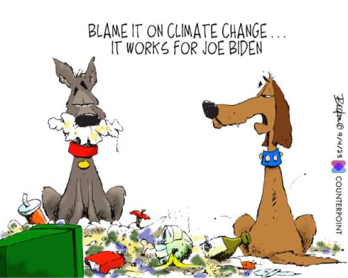 9e2e6a65-5d62-463a-b3b1-4ad278d5b125_642x514