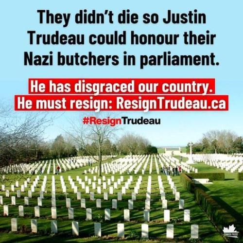 they didn't