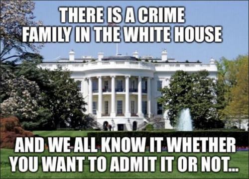 biden crime family02