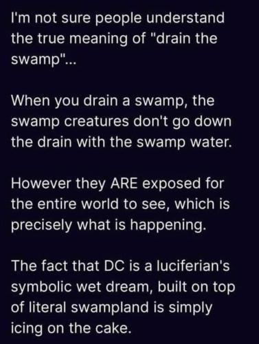 Drain the Swamp 1