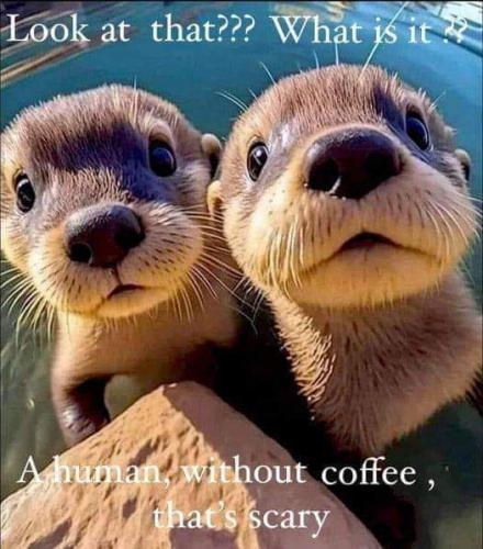 FB_IMG_1695221981328
