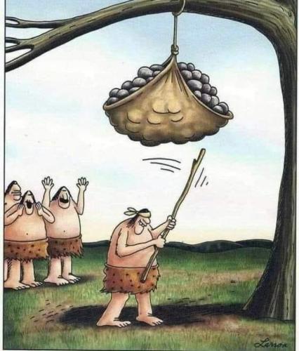 FB_IMG_1695393560875