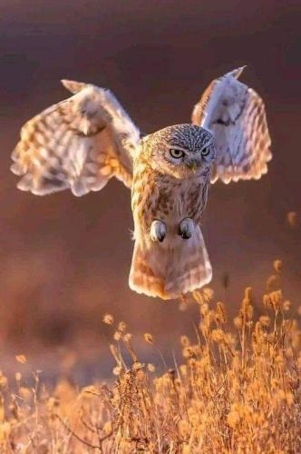 FB_IMG_1693553907688