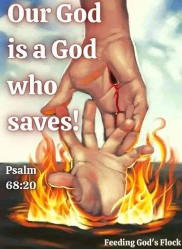 FB_IMG_1695375938559