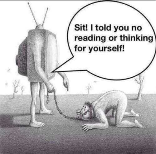 FB_IMG_1694937781371
