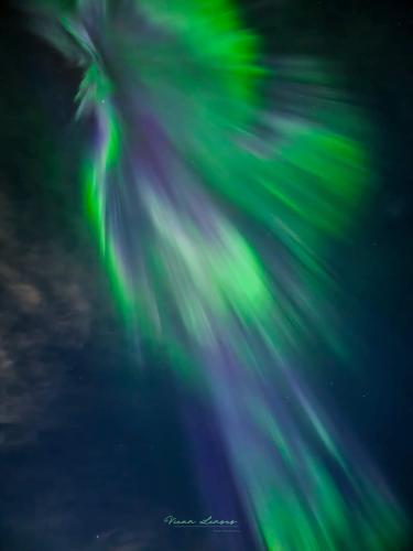 FB_IMG_1695175996765