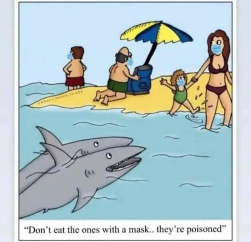 b0bb5cf2-807f-45e3-997e-2594886f461c