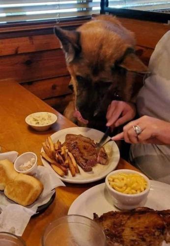 Screenshot_20230929_154803_Facebook