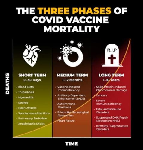 a6effdd1-e9a9-4588-ba6f-8816087c0c87