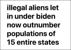 illegal immigration349