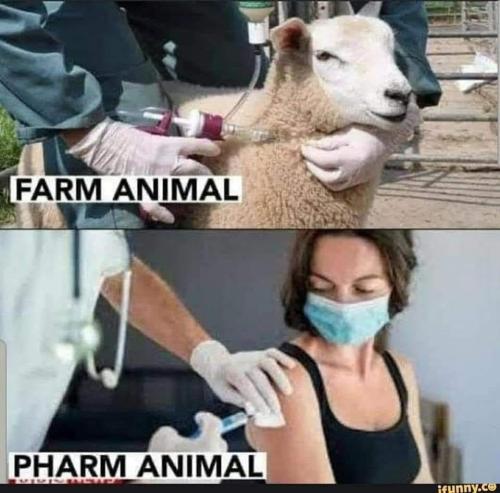 380820873_690039566508911_5852324231687948488_n