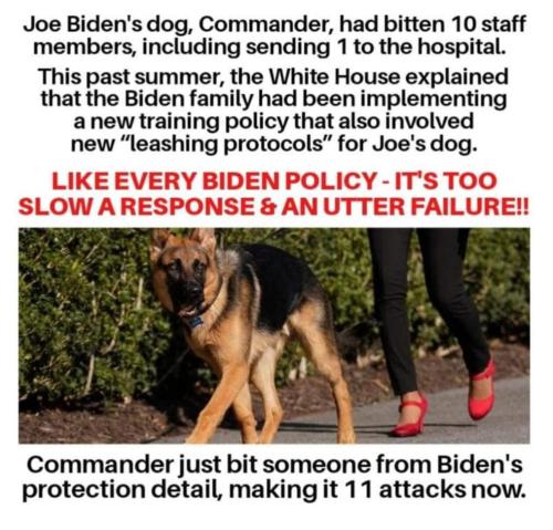 FB_IMG_1696090422343