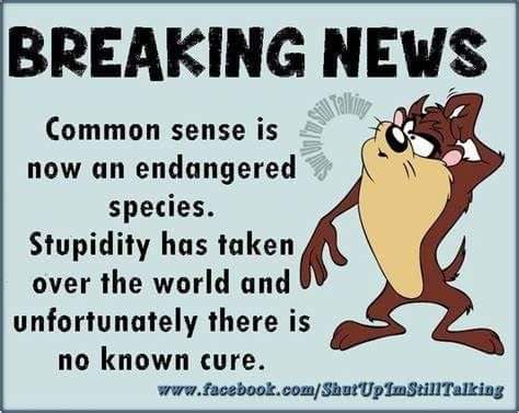 FB_IMG_1695365324718