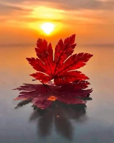 FB_IMG_1695025519953