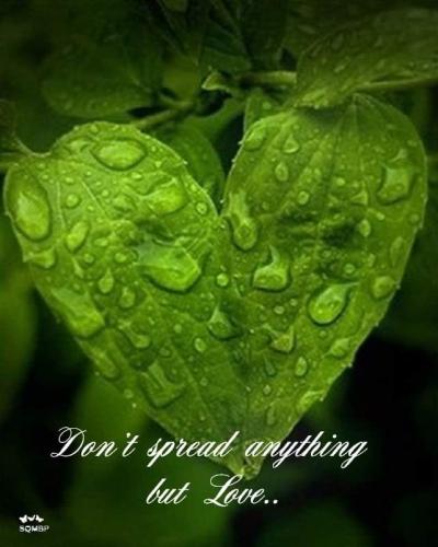 FB_IMG_1695378633834