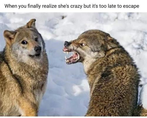FB_IMG_1694650960454