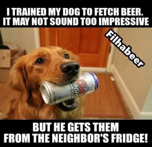 FB_IMG_1694626327434