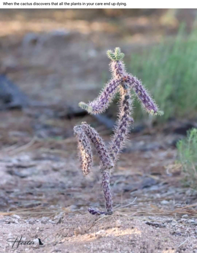 Screenshot_2023-09-03-23-23-23_kindlephoto-111044831