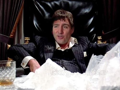 tony trudeau