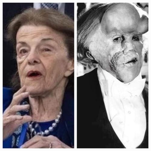 FB_IMG_1694557901807