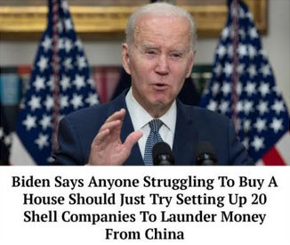 criminal activity136