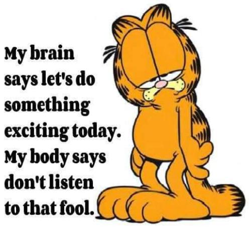 FB_IMG_1695228206495