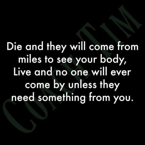 FB_IMG_1694688215992