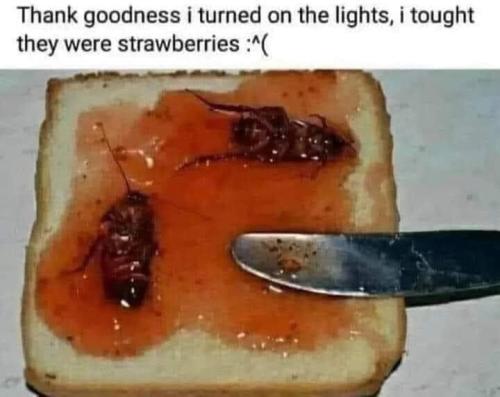 thought they were