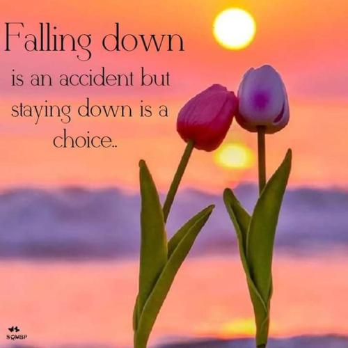 FB_IMG_1693761935086