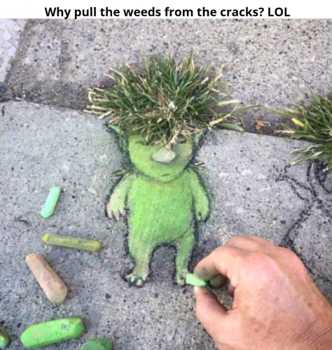 Screenshot_2023-09-03-21-46-26_kindlephoto-13808167